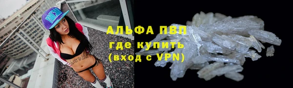дживик Липки