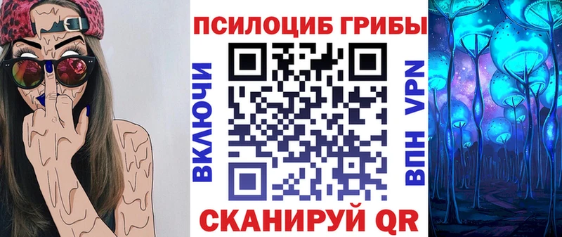 Галлюциногенные грибы Cubensis  Купить закладки  Кировград 